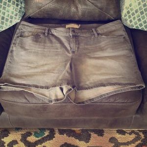 TORRID JEAN SHORTS